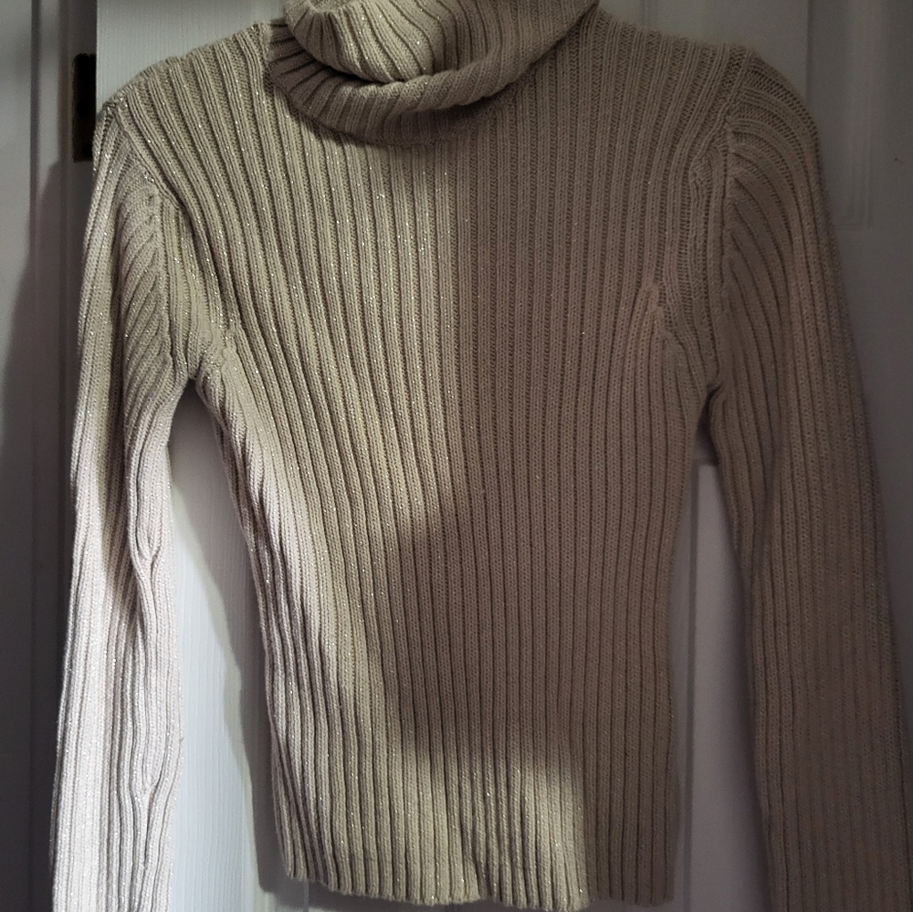Sparkly turtle neck
